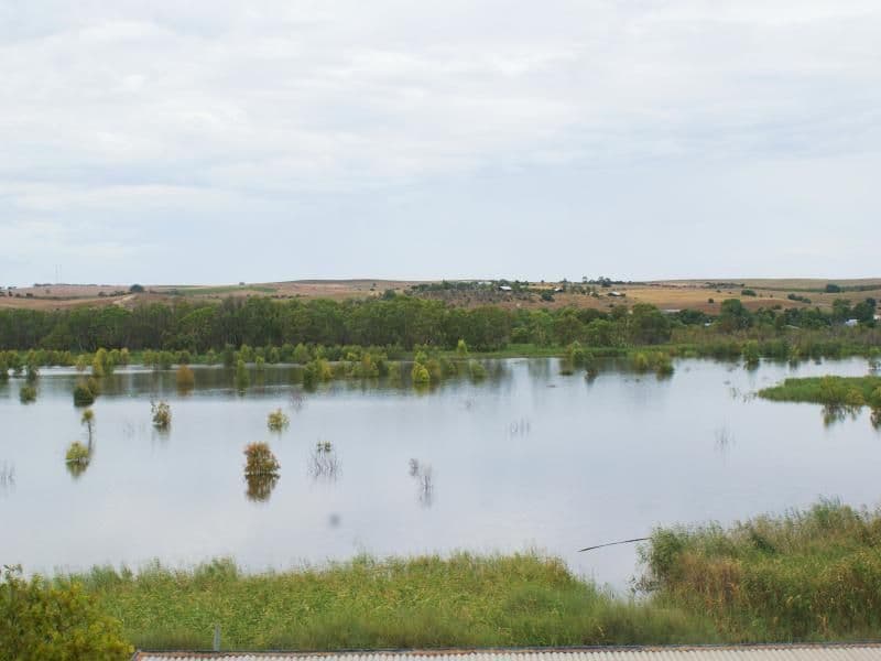 195 (Lot 4) Purnong Road, MANNUM SA 5238, Mannum - Thumbnail 6