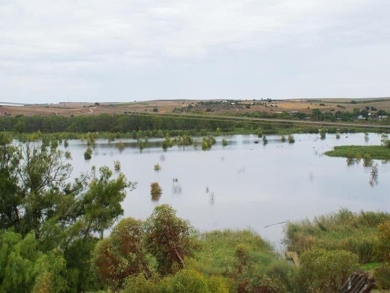 195 (Lot 4) Purnong Road, MANNUM SA 5238, Mannum - Thumbnail 8