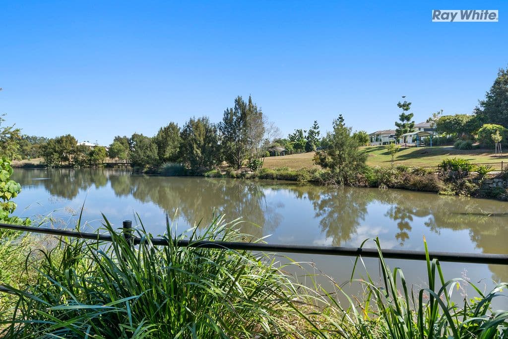 59 Condamine Drive, Sinnamon Park QLD 4073, Sinnamon Park - Thumbnail 3