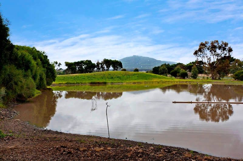395 Forest Road North, LARA VIC 3212, Lara - Thumbnail 5