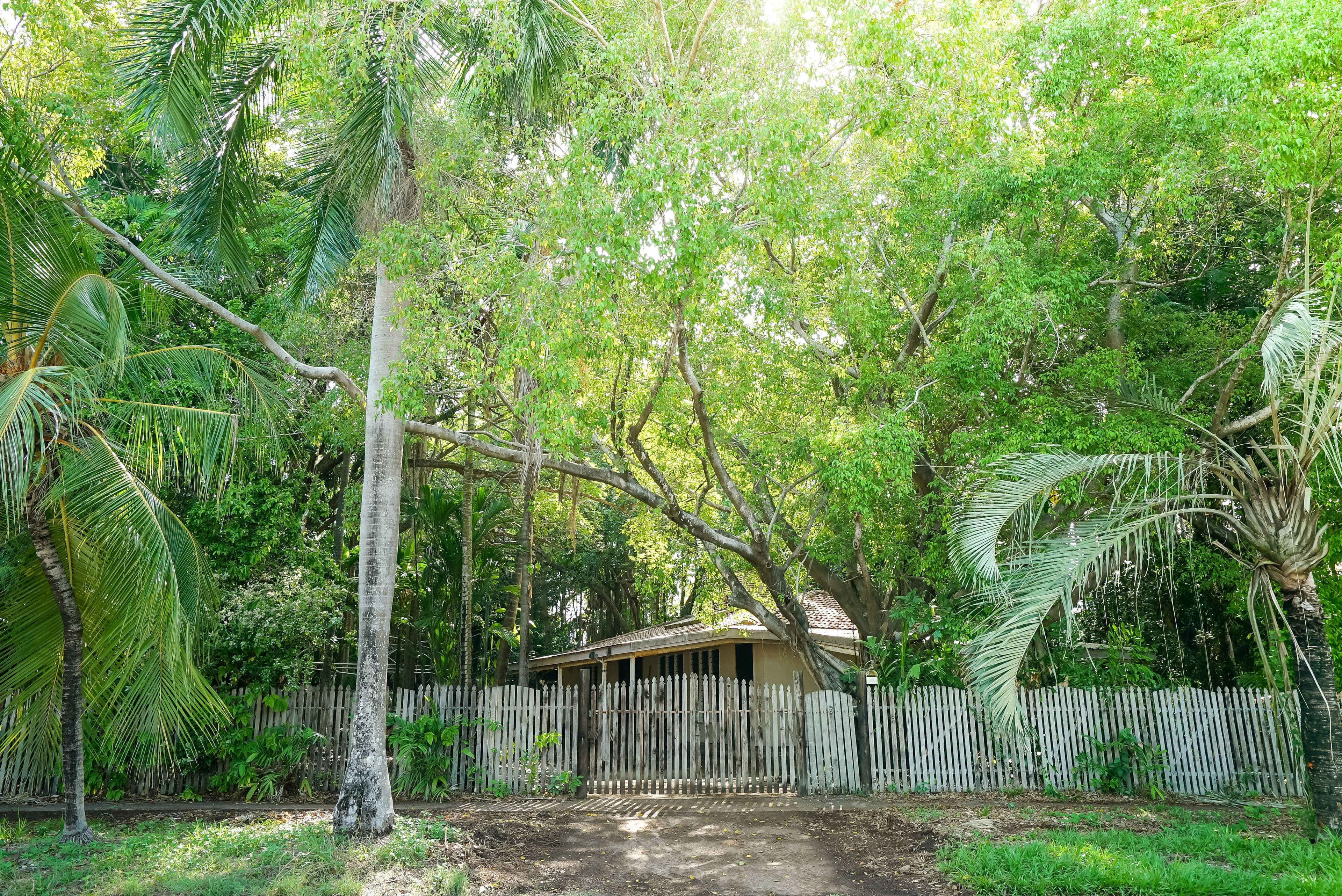 6 Bougainvilia Street, Nightcliff NT 0810, Nightcliff - Thumbnail 6
