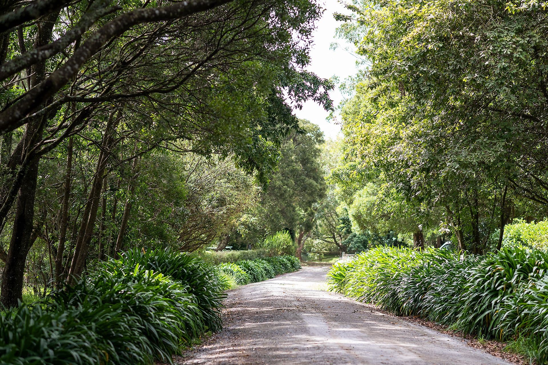71 May Street, Robertson NSW 2577, Robertson - Thumbnail 2