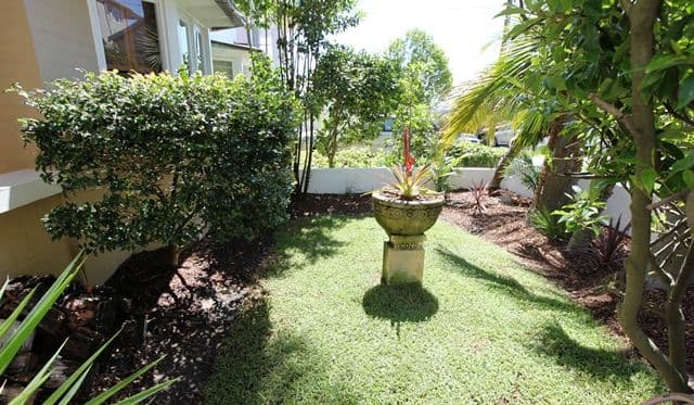 113 Dover Road, ROSE BAY NSW 2029, Rose Bay - Thumbnail 7