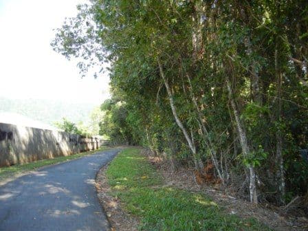 34 Cliffdale Street, BENTLEY PARK QLD 4869, Bentley Park - Thumbnail 4