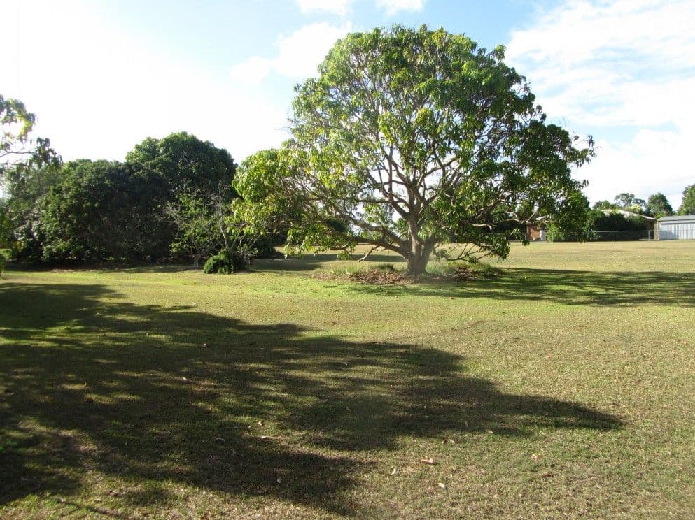 115 Anderson Road, MORAYFIELD QLD 4506, Morayfield - Thumbnail 3