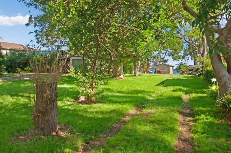 14 Pillapai Road, BRIGHTWATERS NSW 2264, Brightwaters - Thumbnail 8