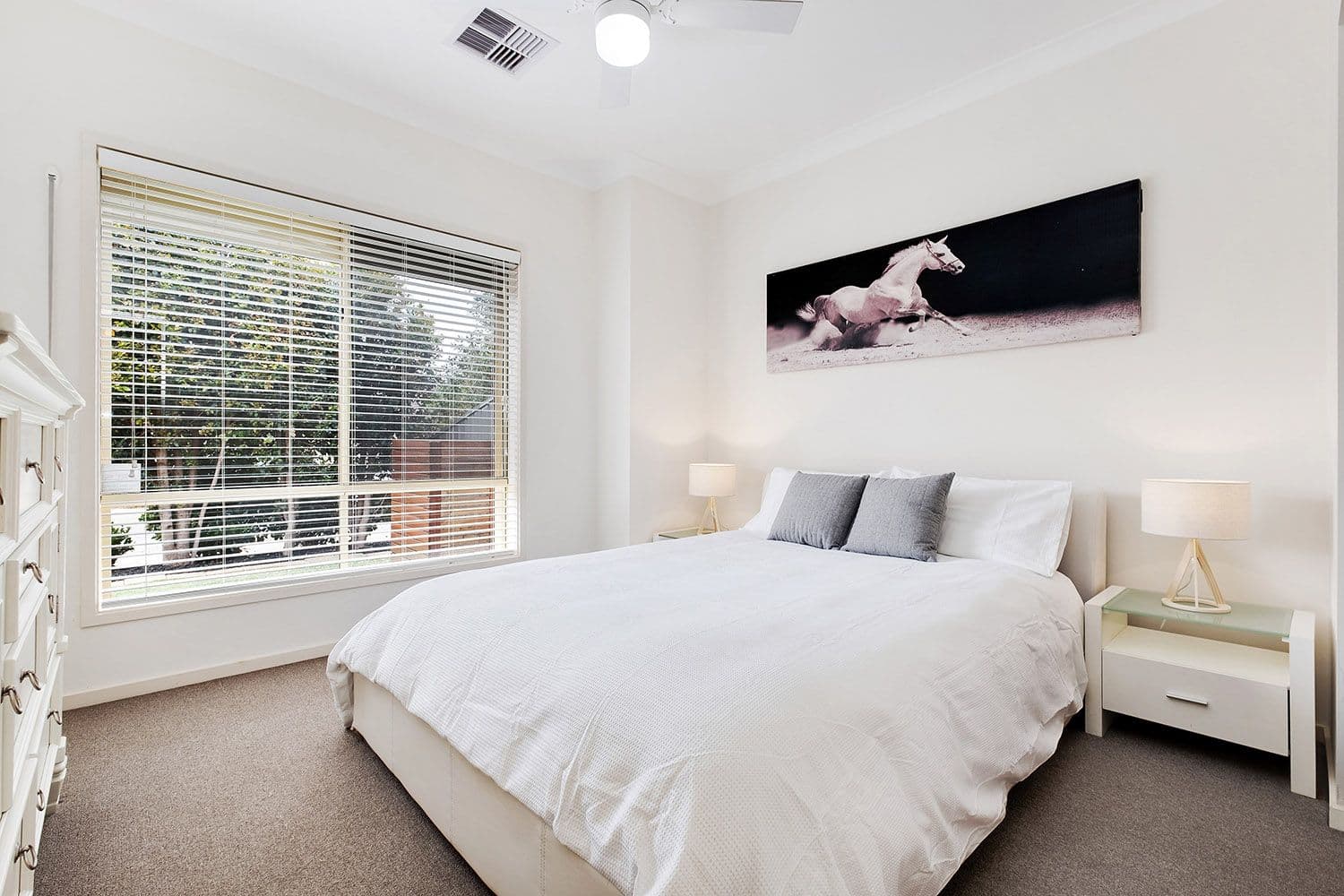4a Thirza Avenue, Mitchell Park SA 5043, Mitchell Park - Thumbnail 7