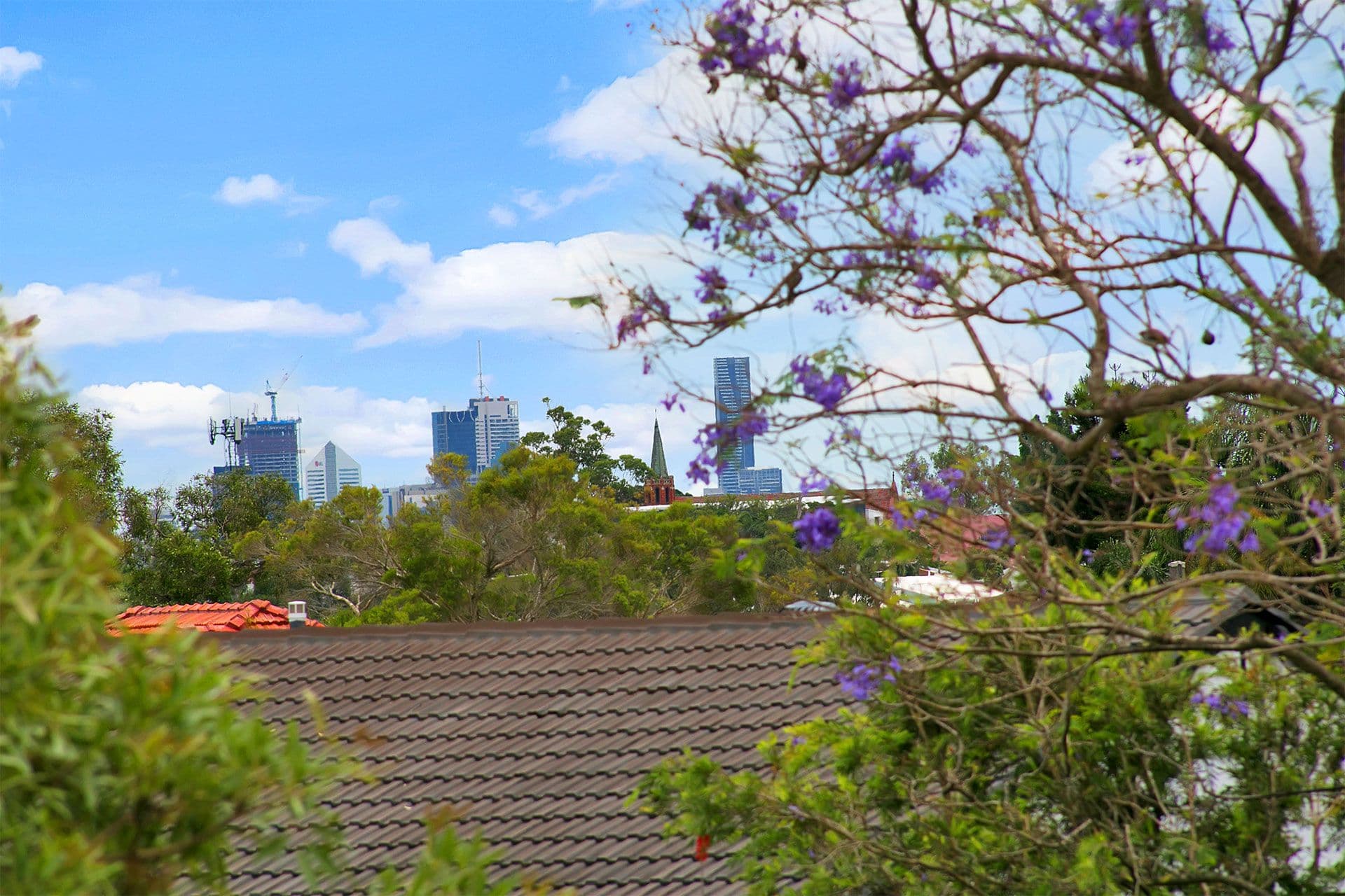 67 Beverley Hill Street, Moorooka QLD 4105, Moorooka - Thumbnail 3