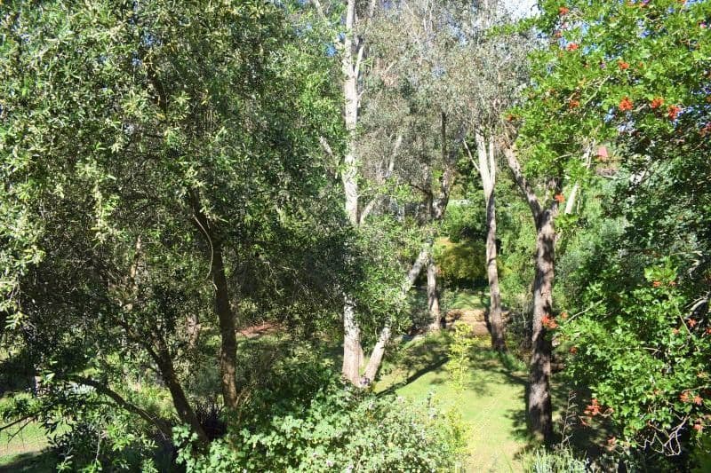 1 Warren Road, Nannup WA 6275, Nannup - Thumbnail 6