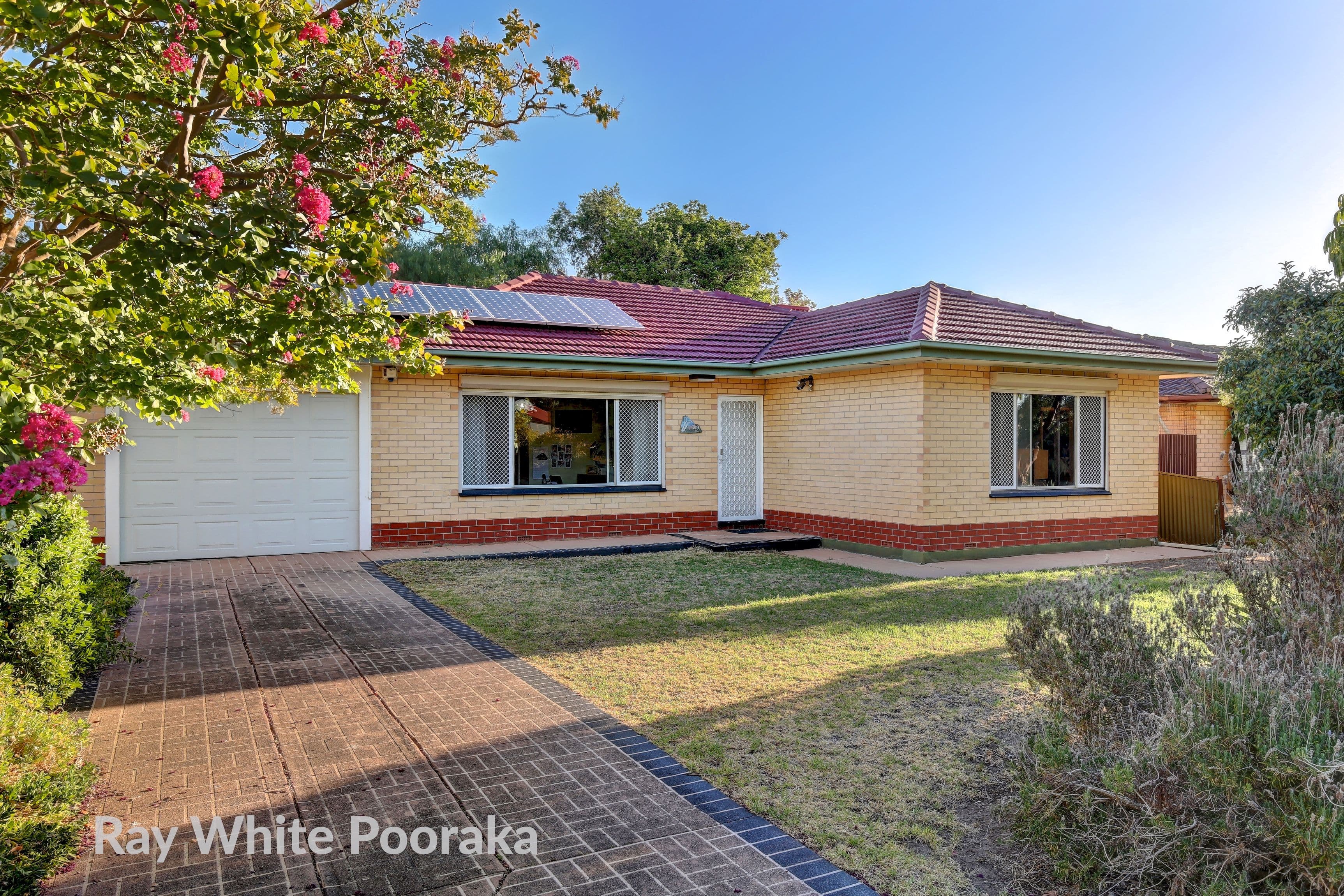 42 Tiparra Avenue, Park Holme SA 5043, Park Holme - Image 1