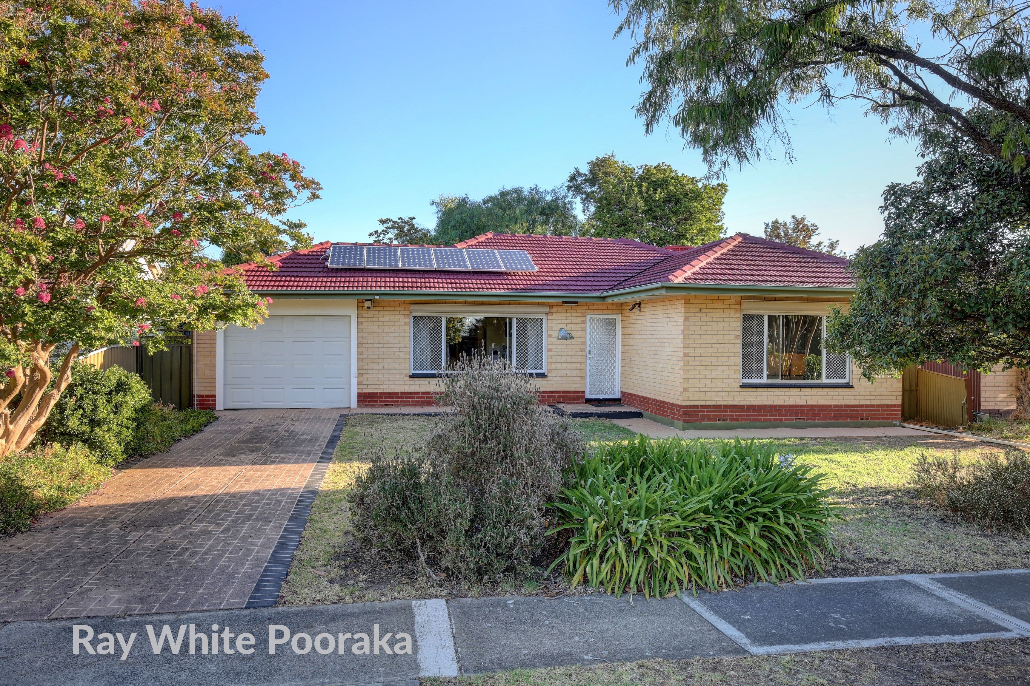 42 Tiparra Avenue, Park Holme SA 5043, Park Holme - Thumbnail 2