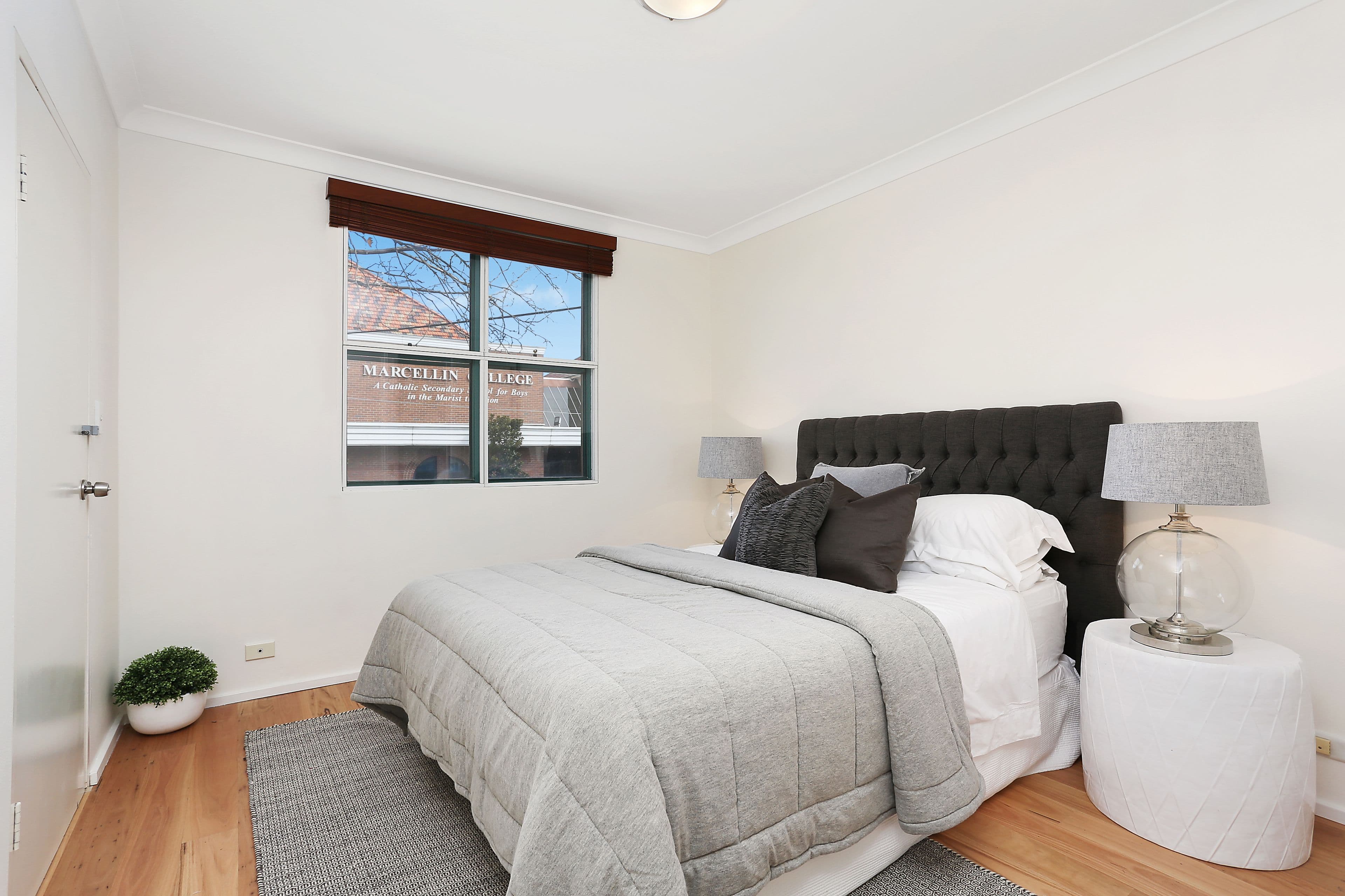 2-206 Alison Road, Randwick NSW 2031, Randwick - Thumbnail 2