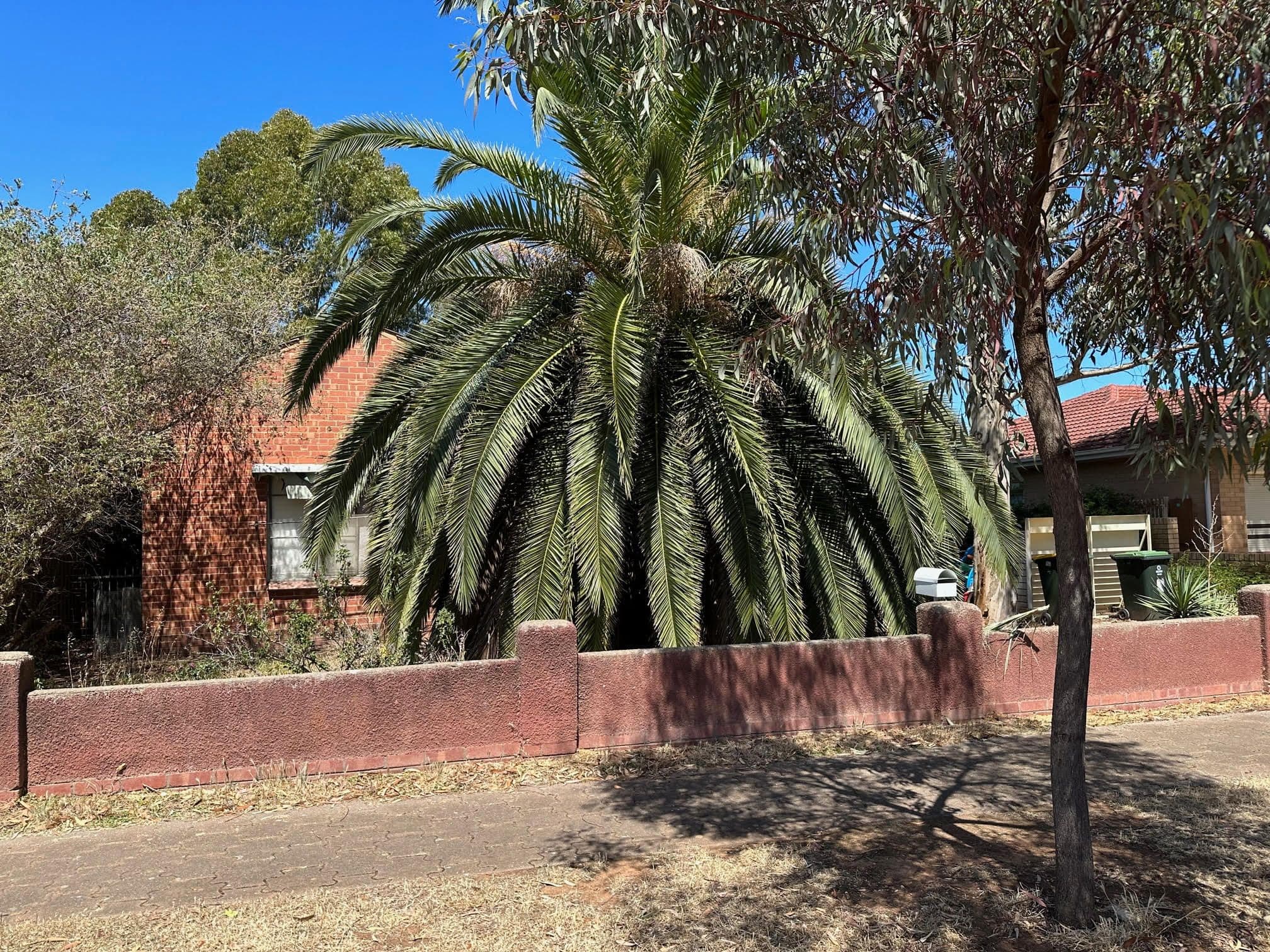 31 Urlwin Road, Salisbury SA 5108, Salisbury - Image 1