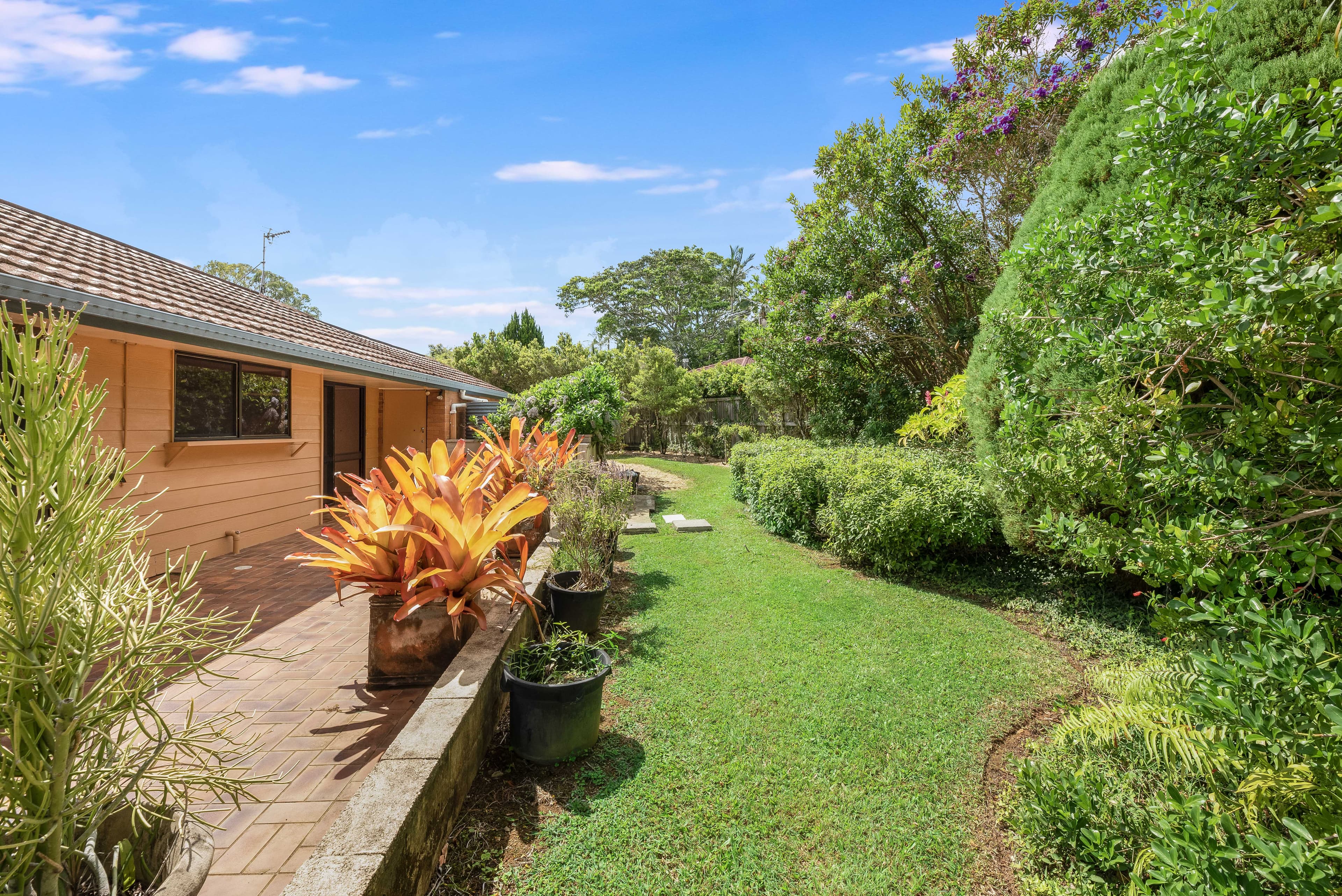 44A ECKERSLEY Avenue, Buderim QLD 4556, Buderim - Thumbnail 3