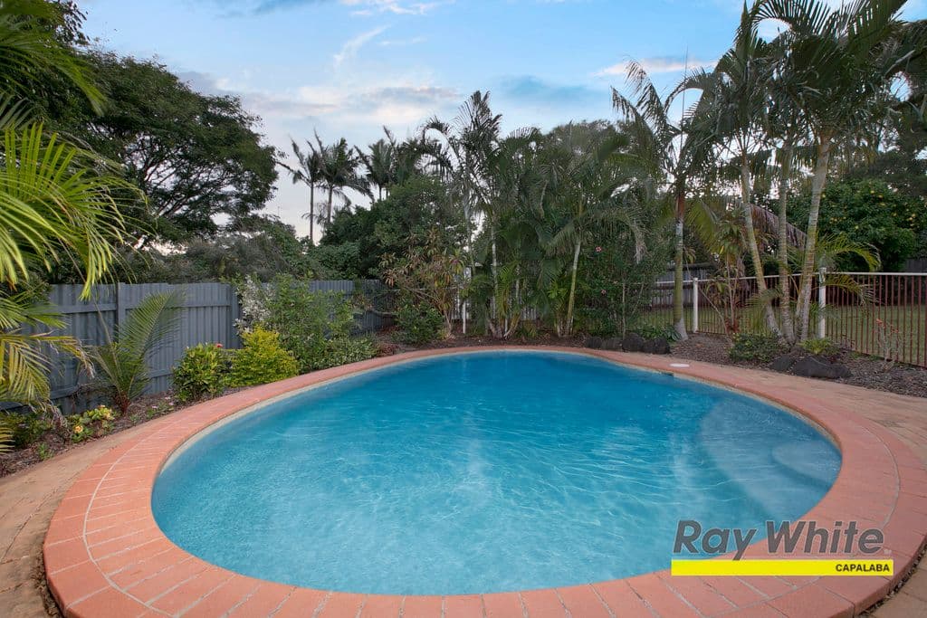 6 Gem Close, ALEXANDRA HILLS QLD 4161, Alexandra Hills - Thumbnail 5