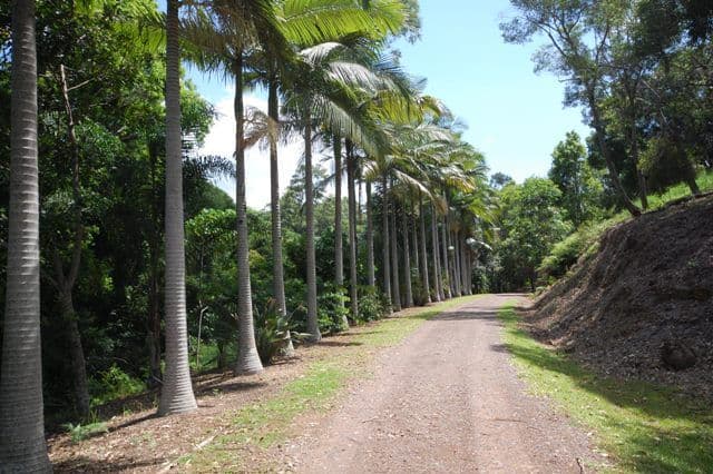 TINBEERWAH QLD 4563, Tinbeerwah - Thumbnail 5