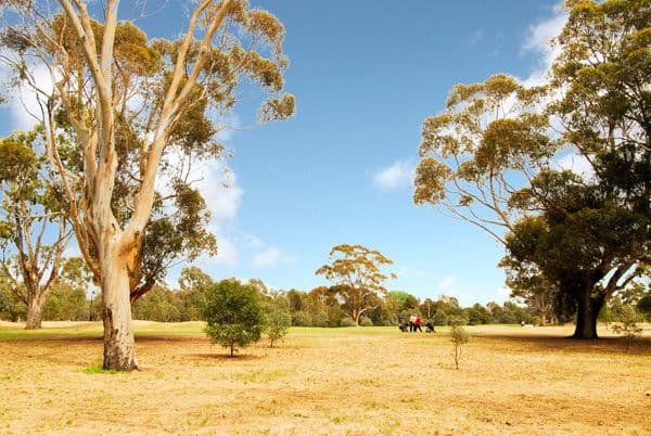 202 The Avenue, PARKVILLE VIC 3052, Parkville - Thumbnail 4