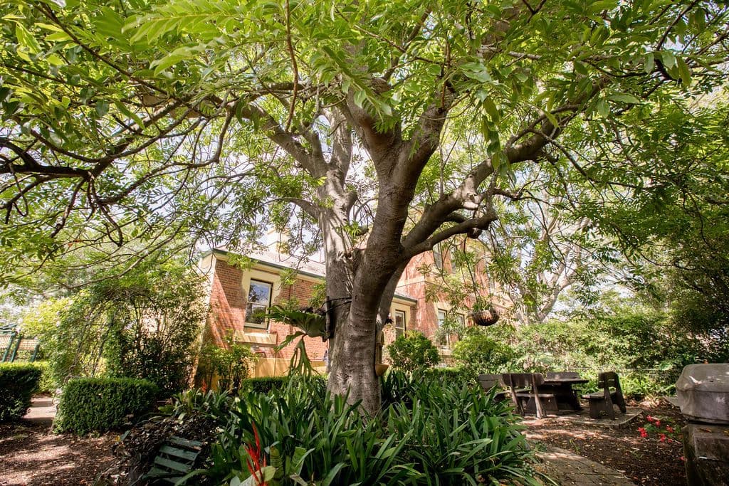 257 Dowling Street, Dungog NSW 2420, Dungog - Thumbnail 4