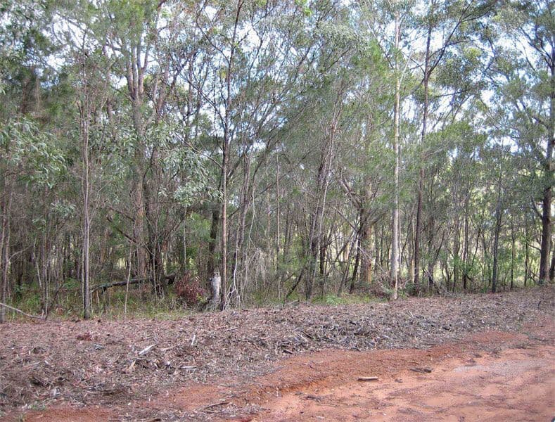 77 Hacking Ridge Road, RUSSELL ISLAND QLD 4184, Russell Island - Image 1