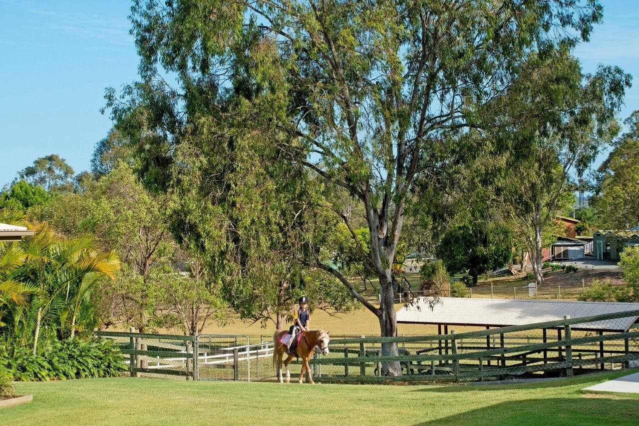 23 Brentwood Terrace, OXENFORD QLD 4210, Oxenford - Thumbnail 5