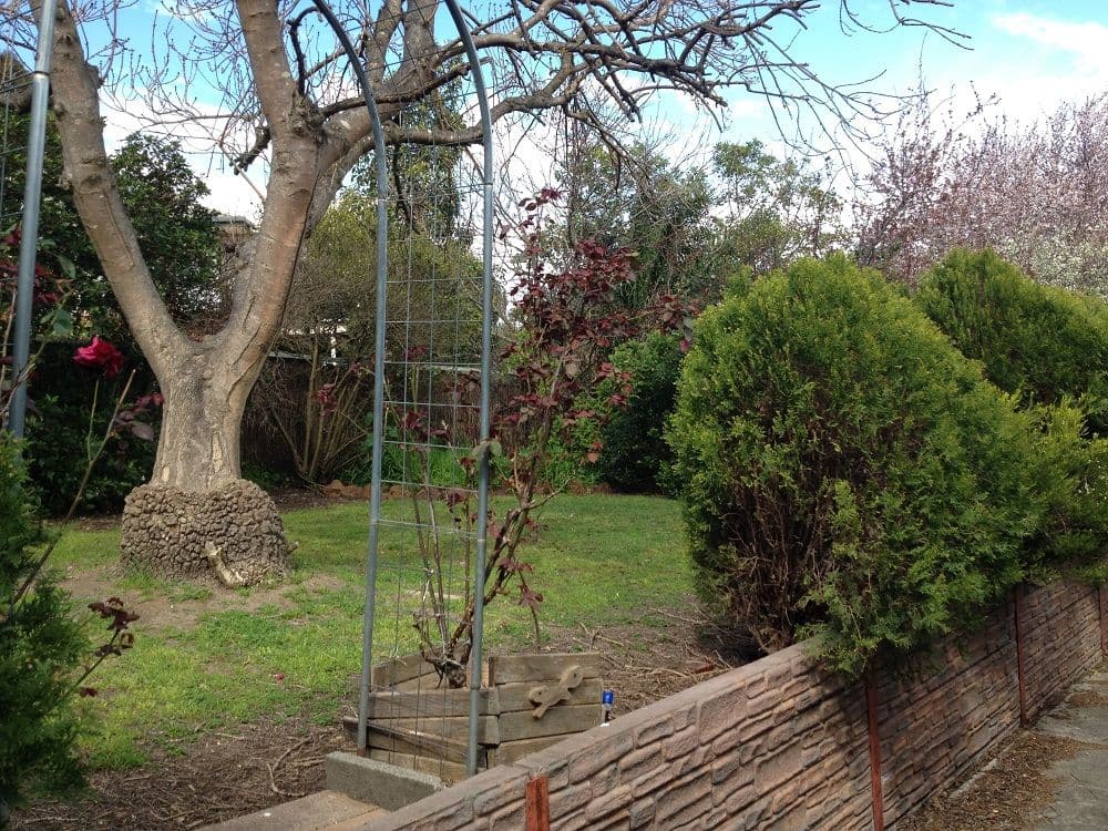 9 Holmes Court, Flagstaff Hill SA 5159, Flagstaff Hill - Thumbnail 4