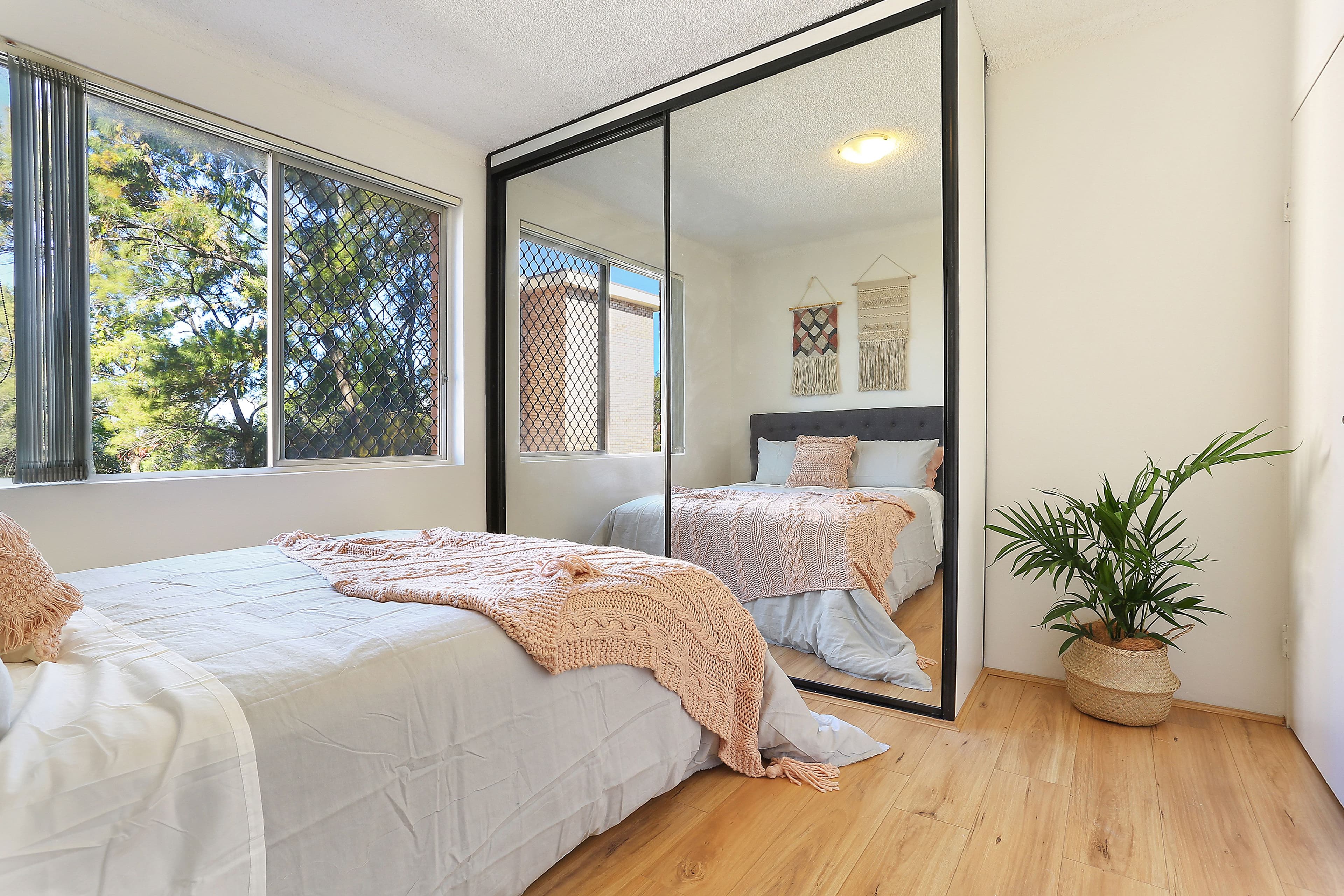 919 Botany Road, Rosebery NSW 2018, Rosebery - Thumbnail 4