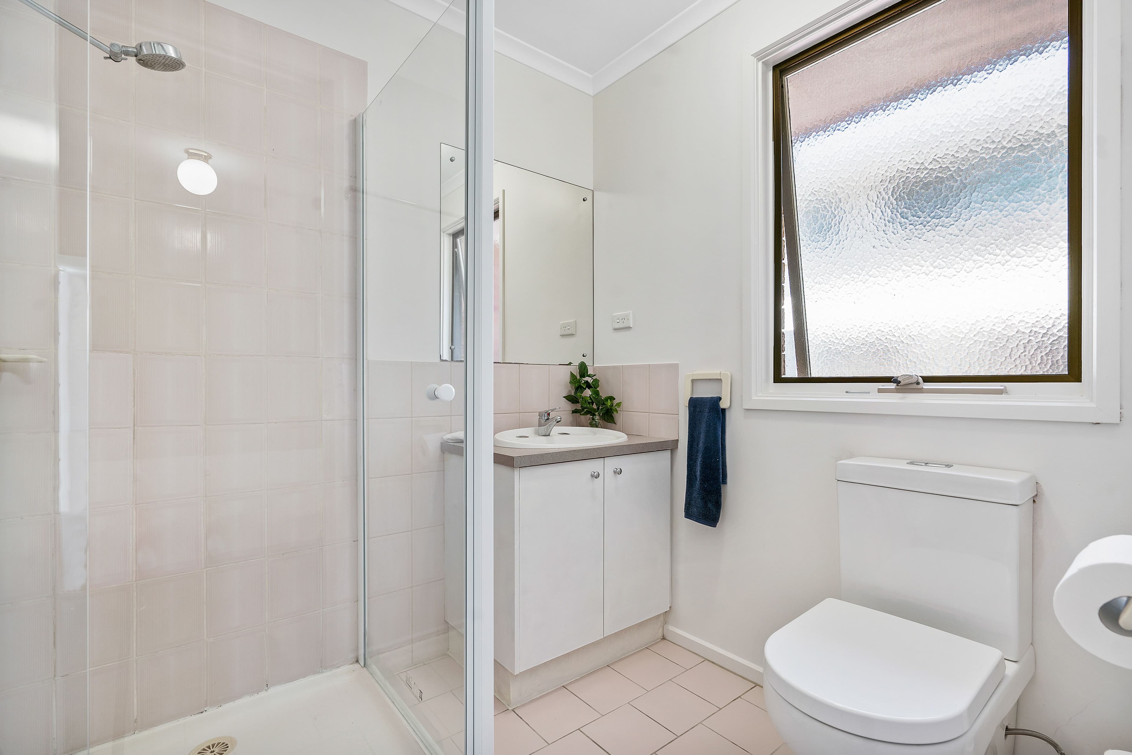 101 Birchwood Boulevard, Hoppers Crossing VIC 3029, Hoppers Crossing - Thumbnail 3