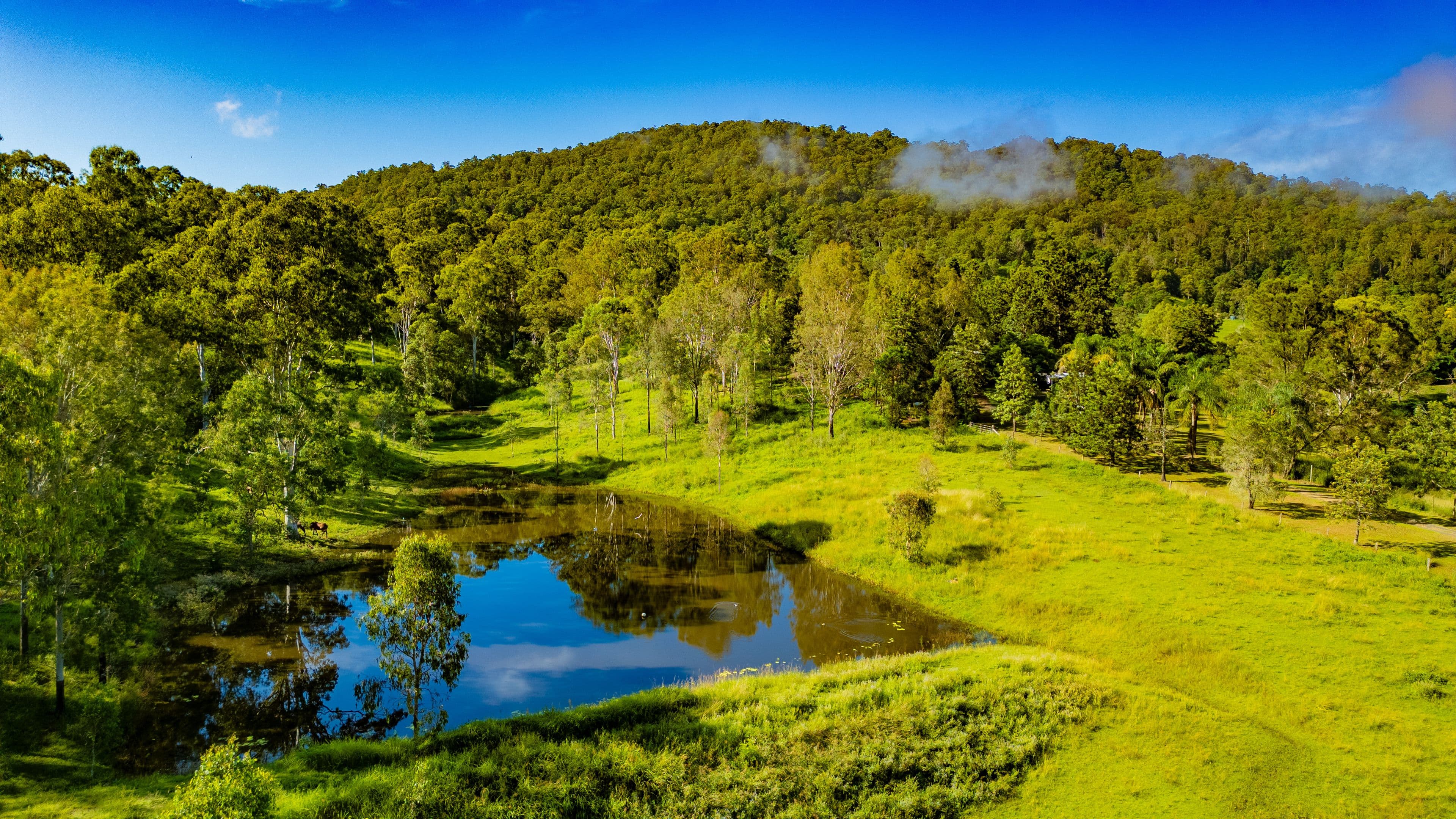 165 Aherns Road, Conondale QLD 4552, Conondale - Thumbnail 2