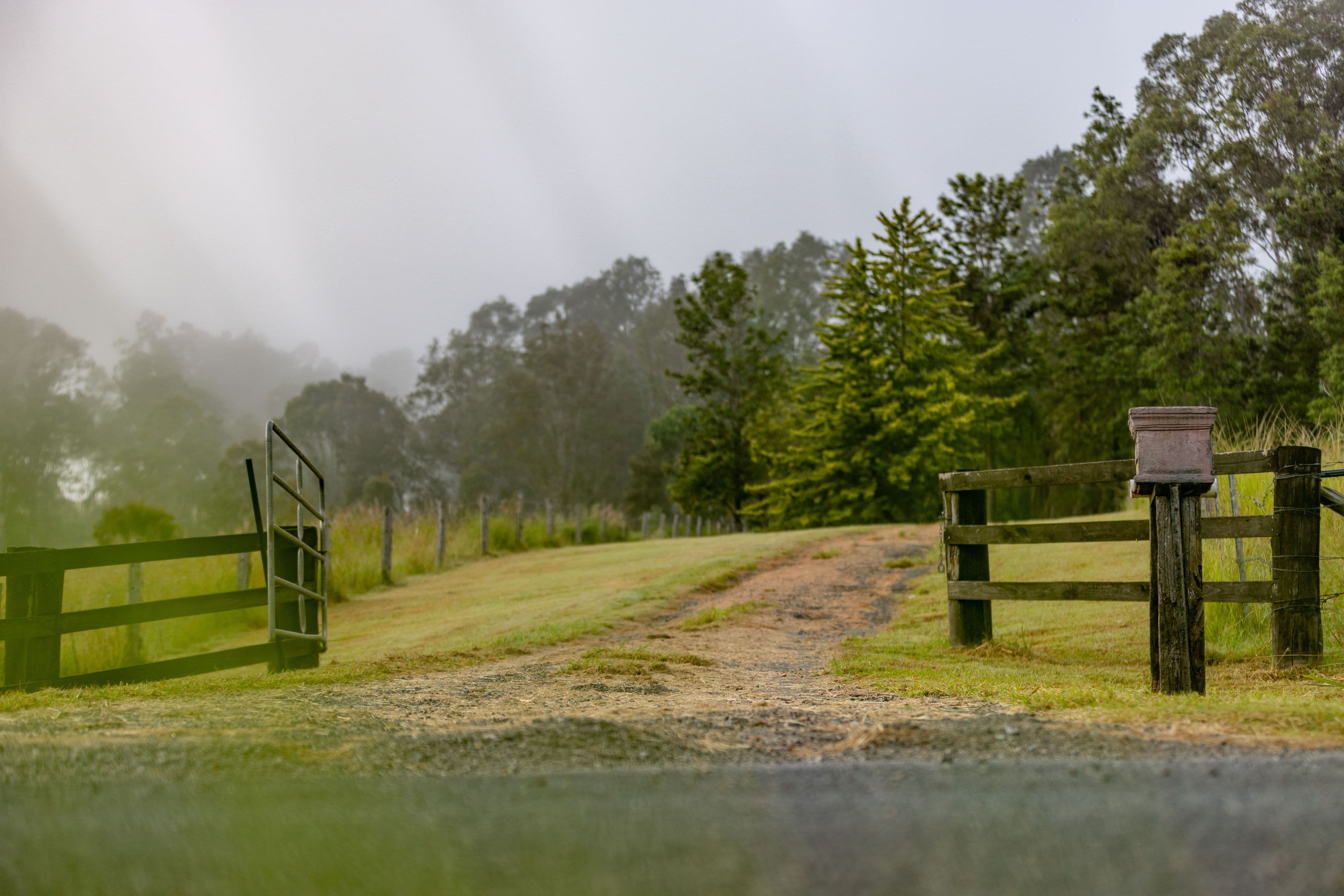 165 Aherns Road, Conondale QLD 4552, Conondale - Thumbnail 4