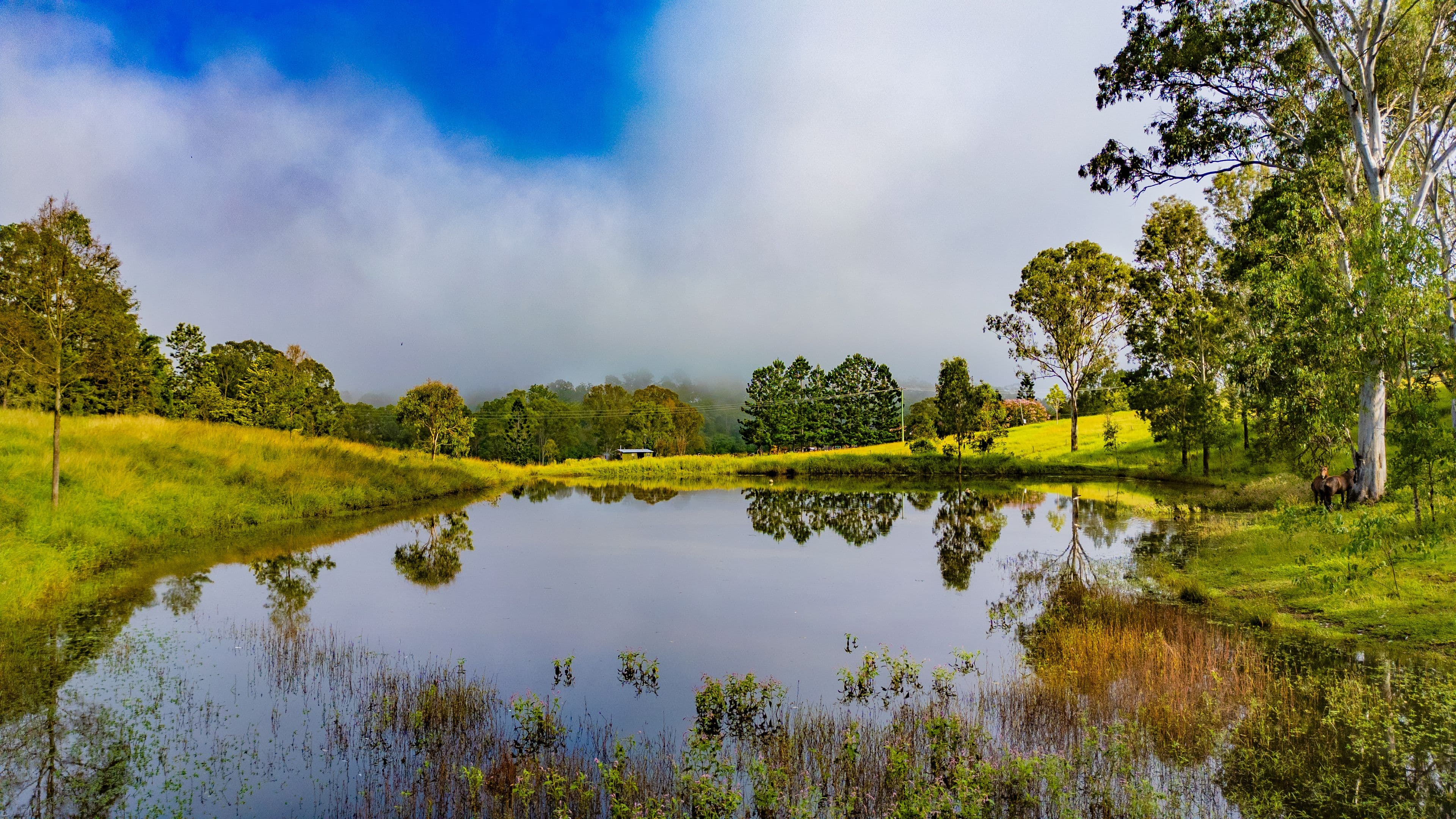 165 Aherns Road, Conondale QLD 4552, Conondale - Thumbnail 6