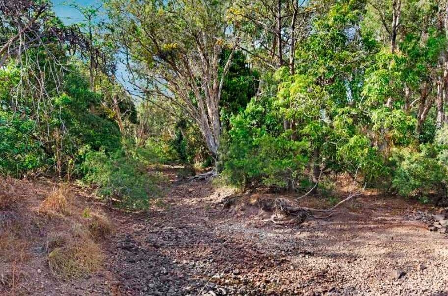 29A Alligator Creek Road, Alligator Creek QLD 4816, Alligator Creek - Thumbnail 7