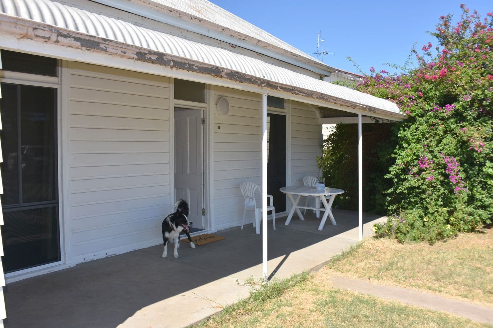 12 Anne Street, Moree NSW 2400, Moree - Thumbnail 3