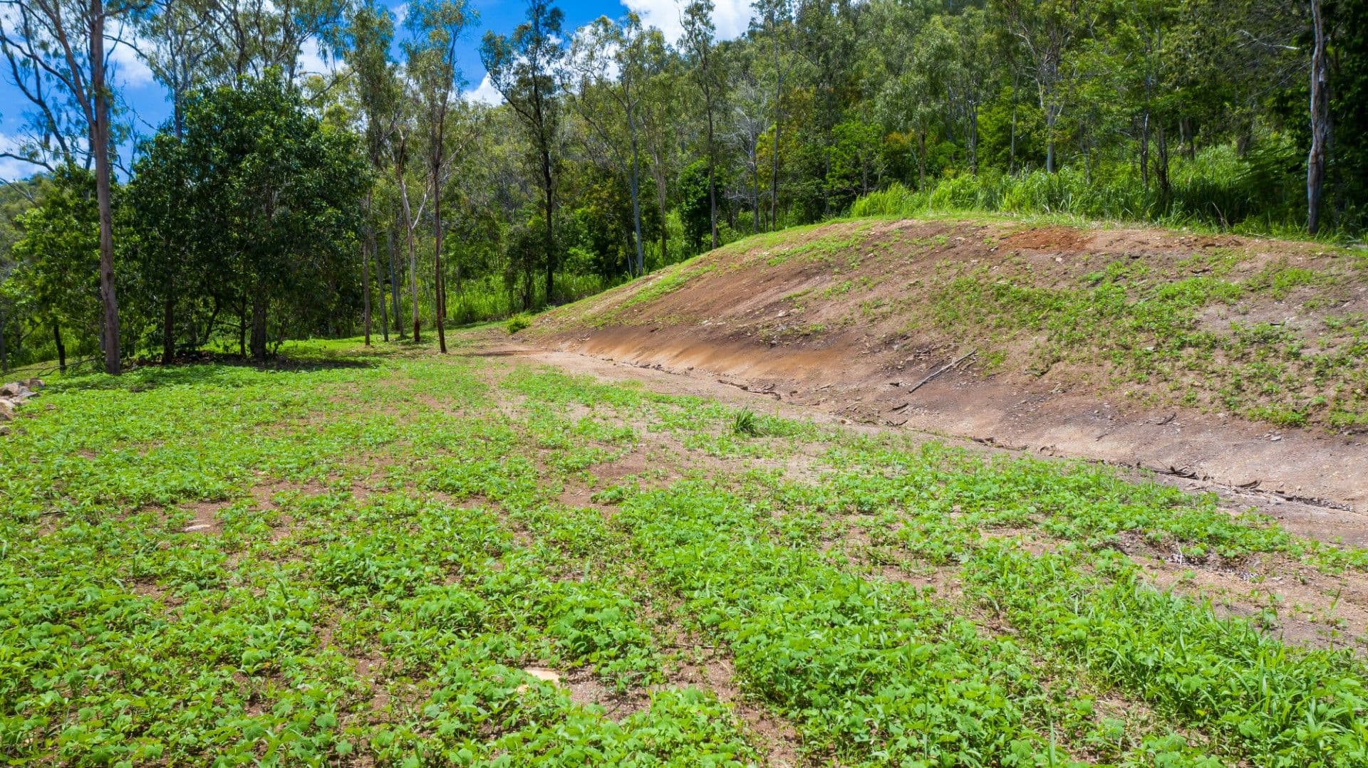 Lot 2 Mountain View Road, Woodwark QLD 4802, Woodwark - Thumbnail 5
