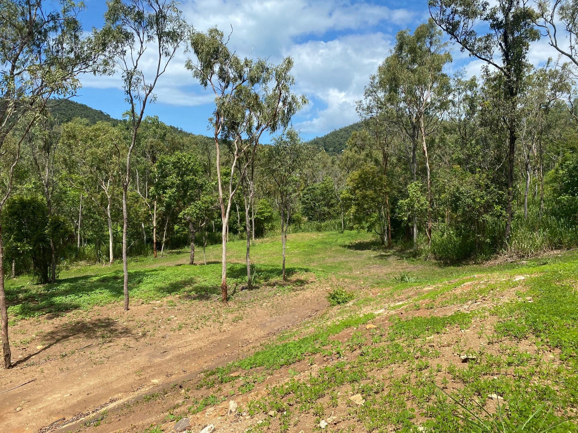 Lot 2 Mountain View Road, Woodwark QLD 4802, Woodwark - Thumbnail 8