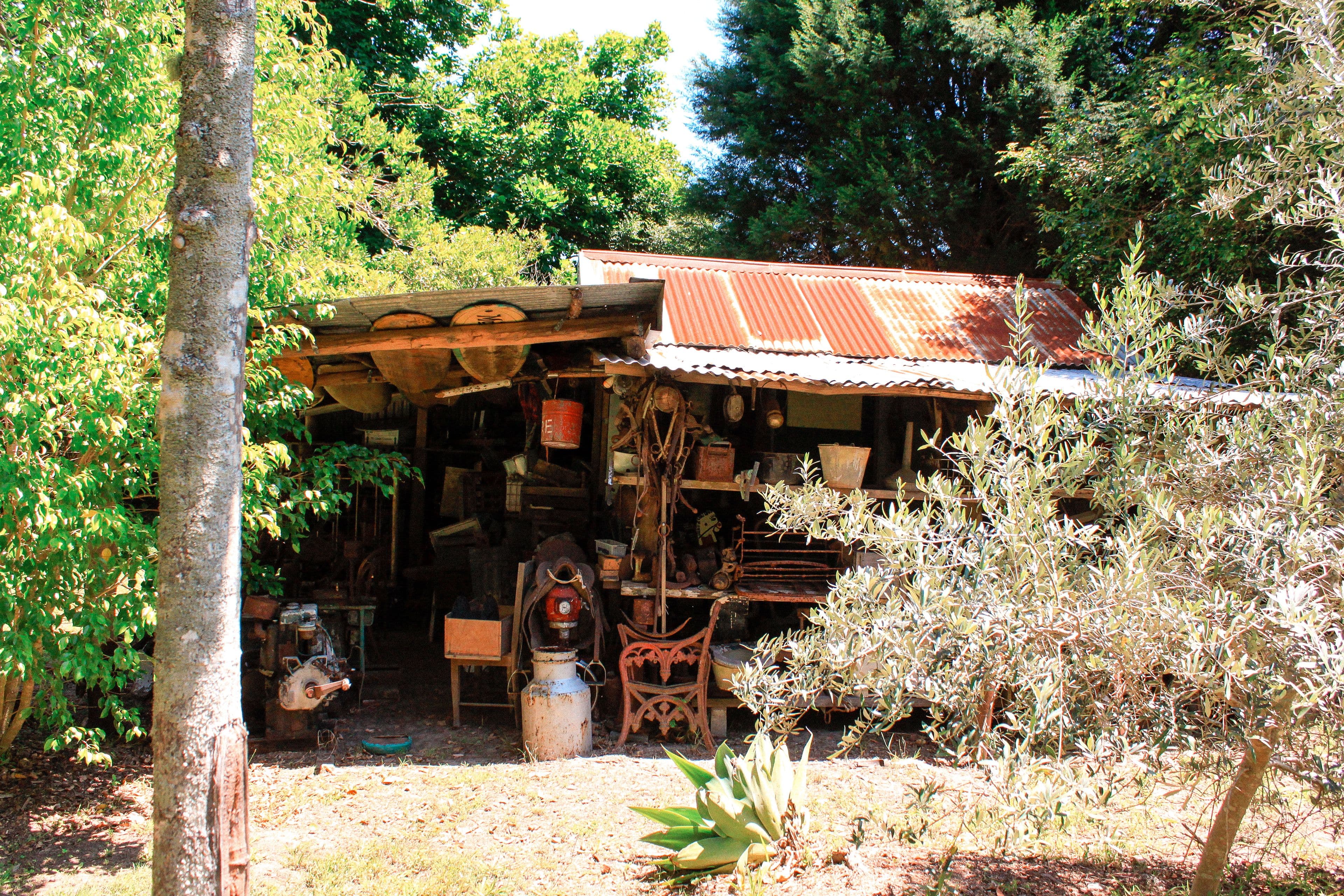 135 Maitland Bay Drive, Killcare Heights - Thumbnail 5