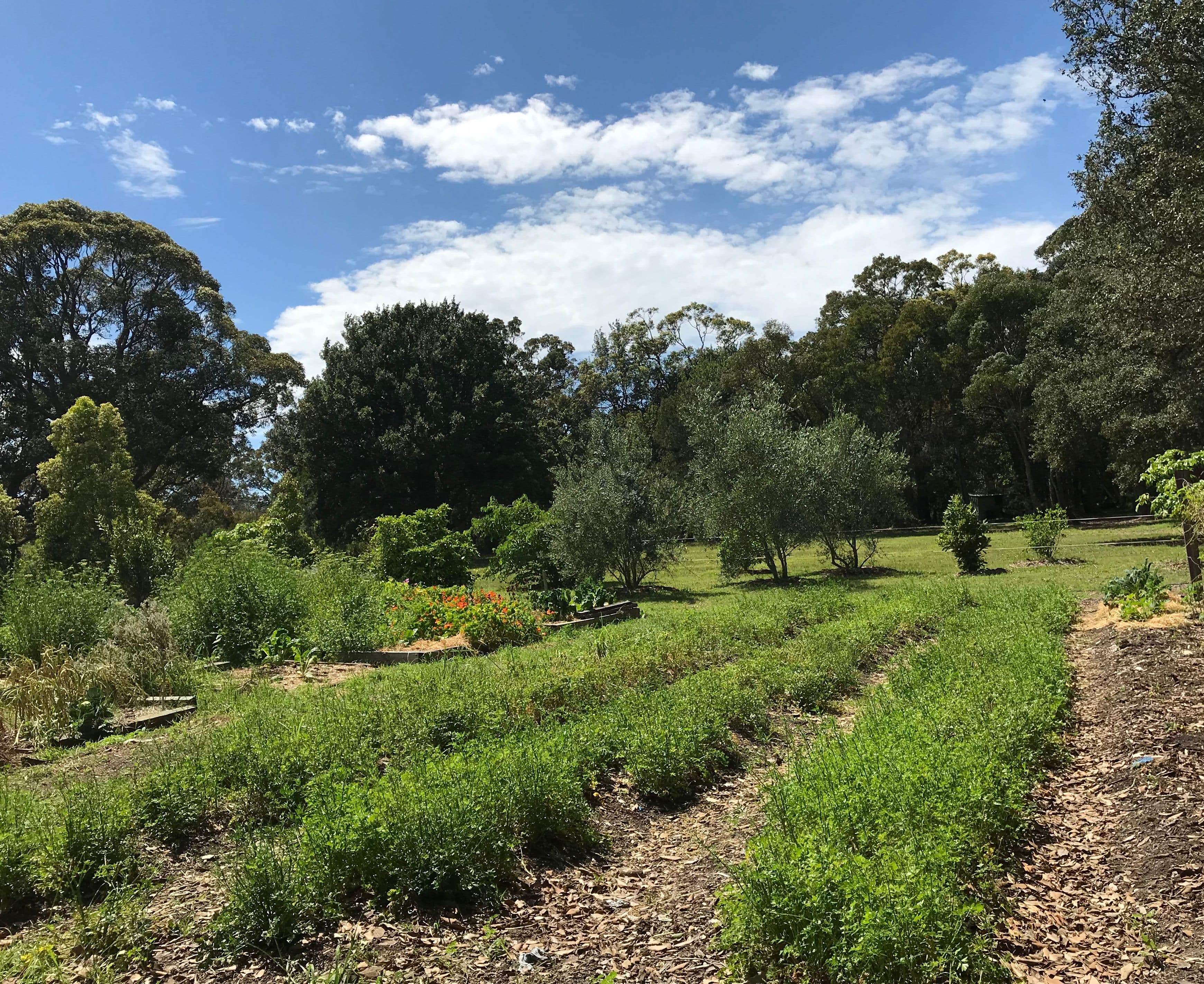 135 Maitland Bay Drive, Killcare Heights - Thumbnail 6