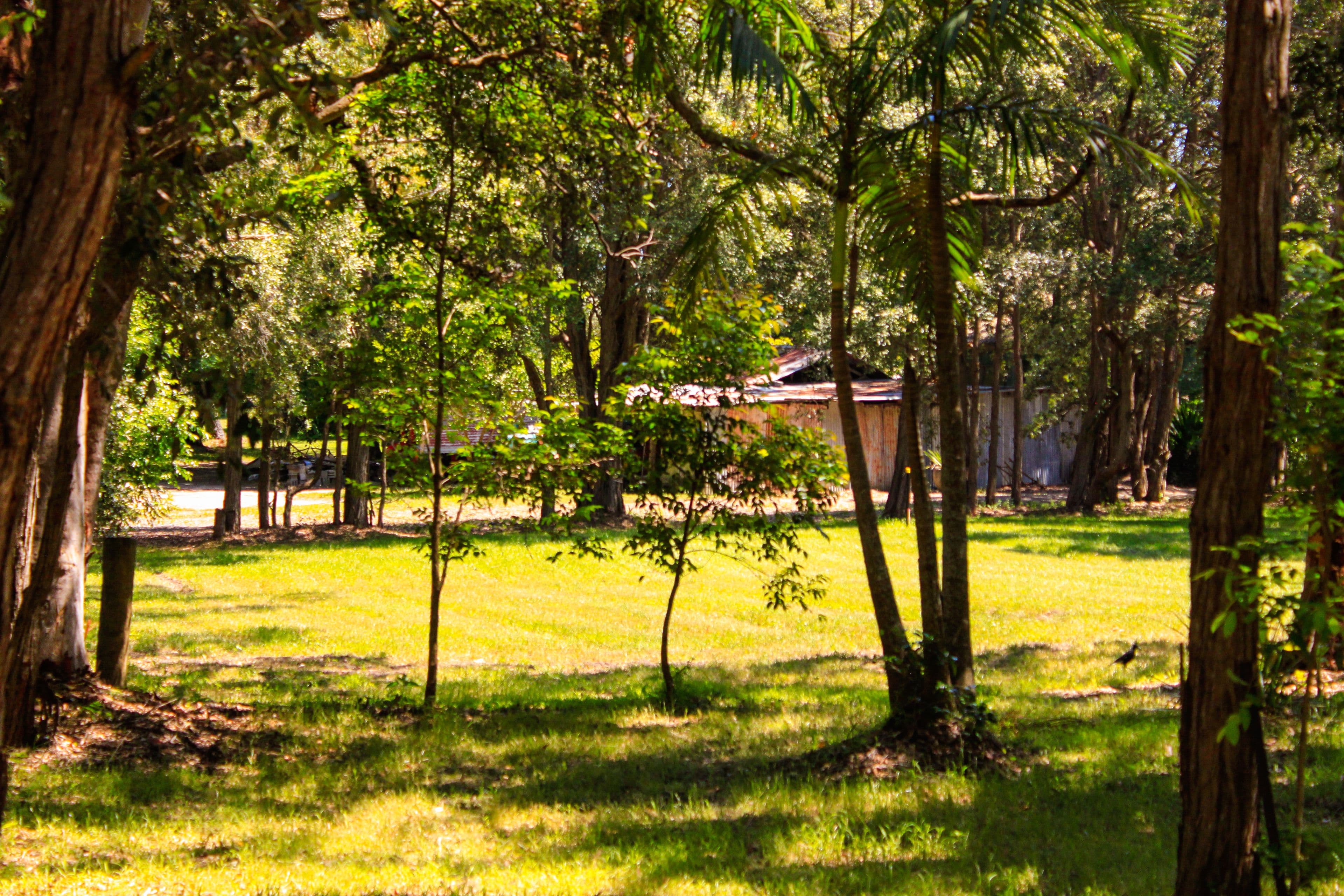 135 Maitland Bay Drive, Killcare Heights - Thumbnail 7