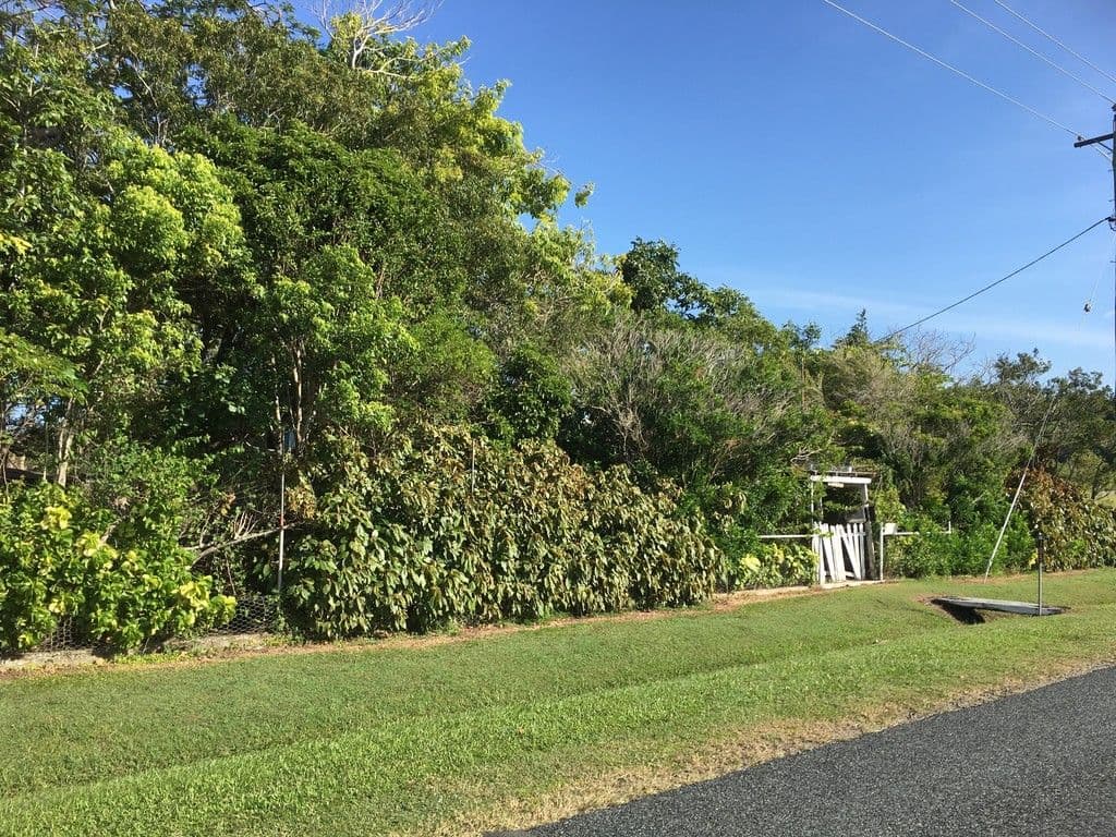 105 Glenella-Richmond Road, Glenella QLD 4740, Glenella - Thumbnail 6