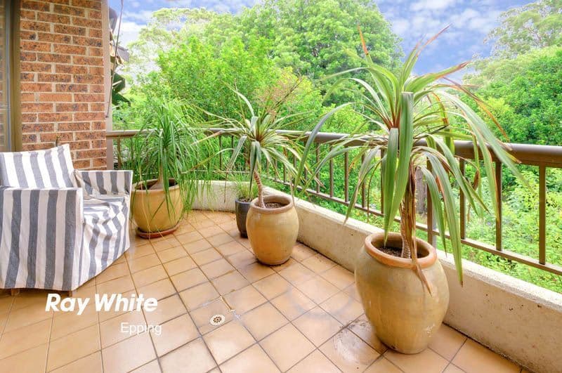 42A Kent Street, EPPING NSW 2121, Epping - Thumbnail 5