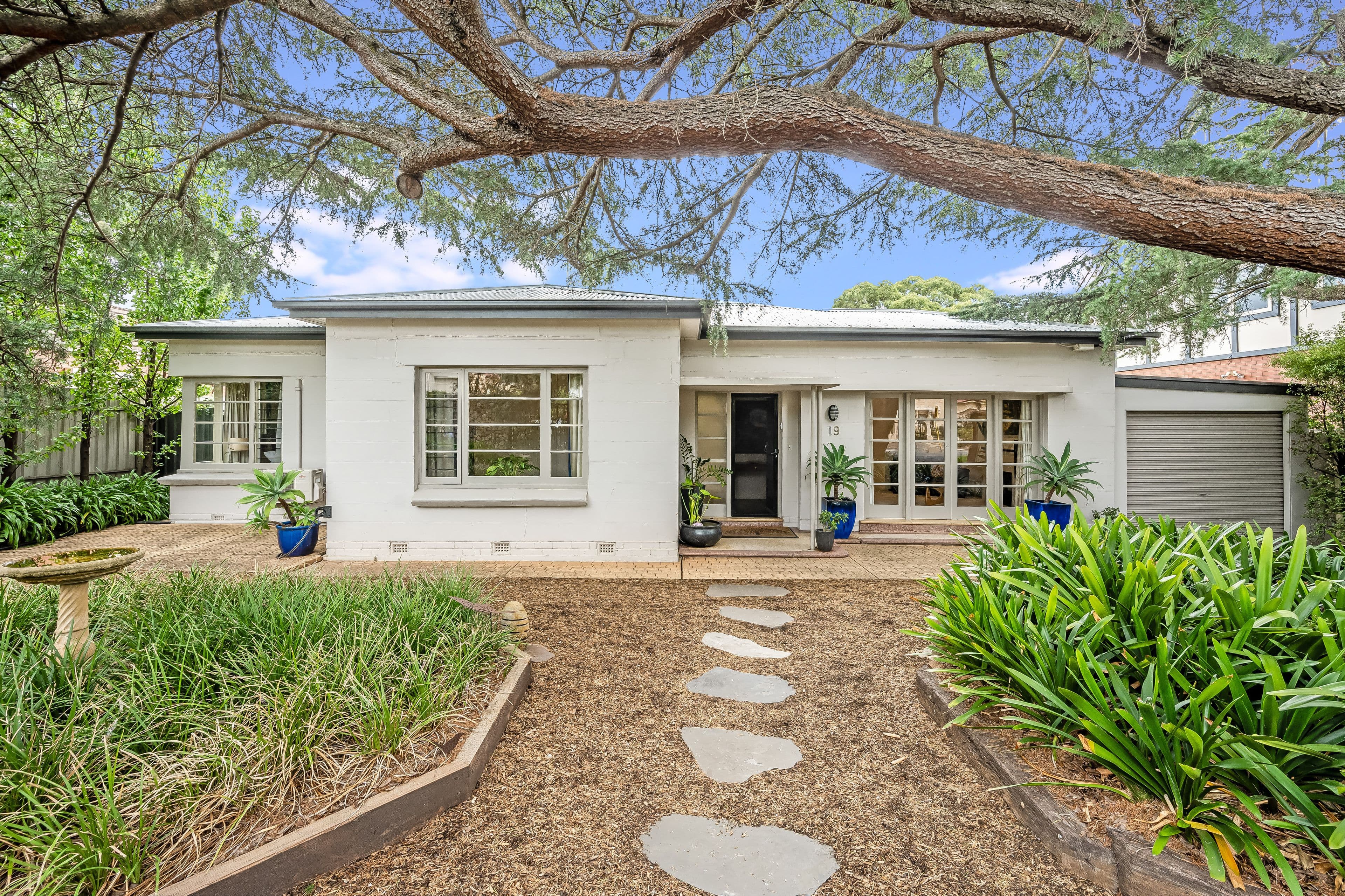 19 Devereux Road, Linden Park SA 5065, Linden Park - Image 1