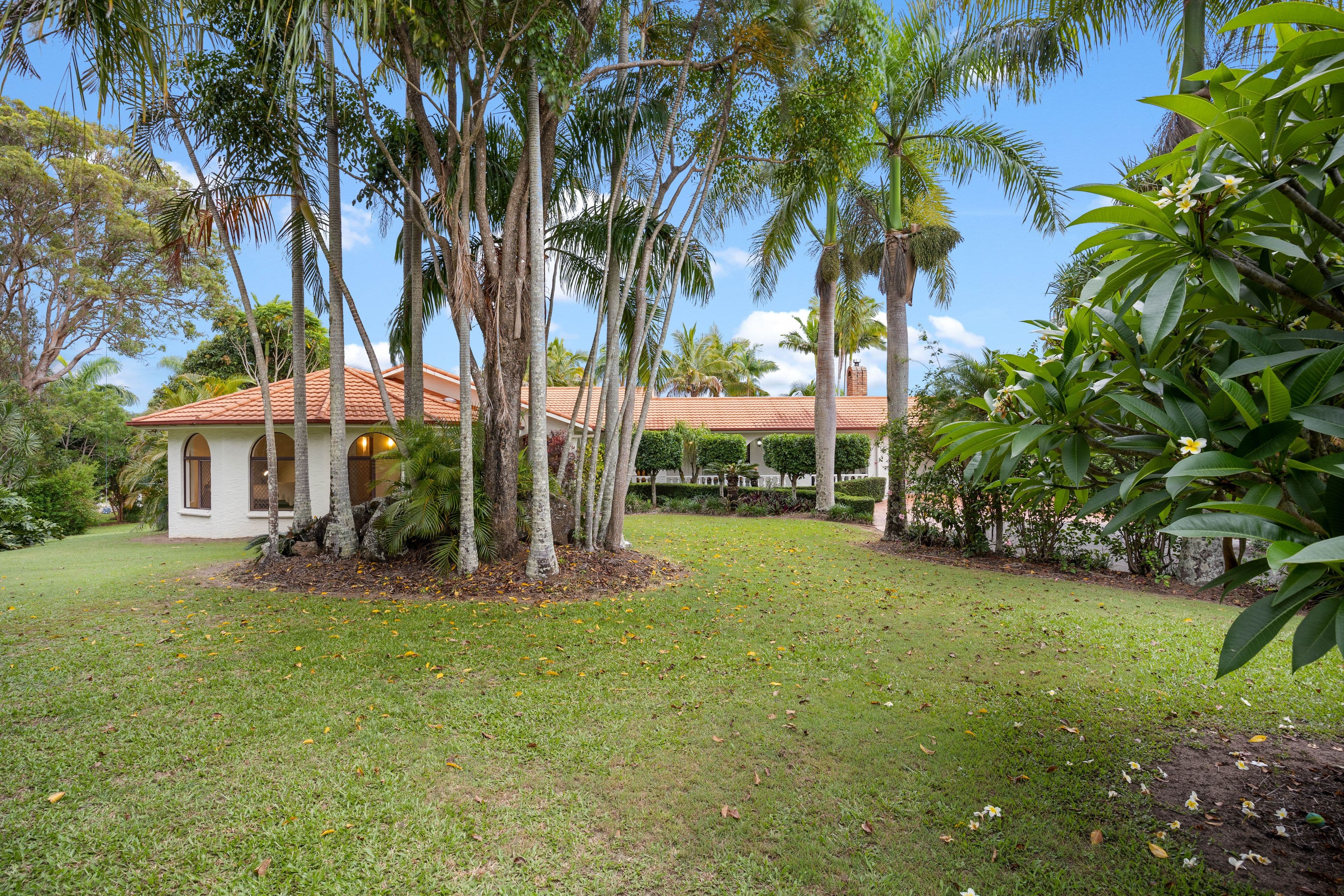 1 Haas Street, Bli Bli QLD 4560, Bli Bli - Thumbnail 3