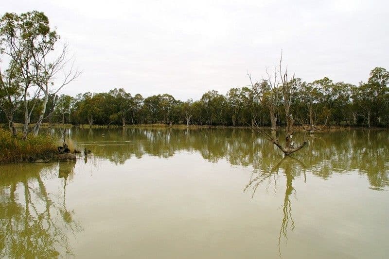 0 Ral Ral Creek, Renmark QLD 4306, Renmark - Thumbnail 6