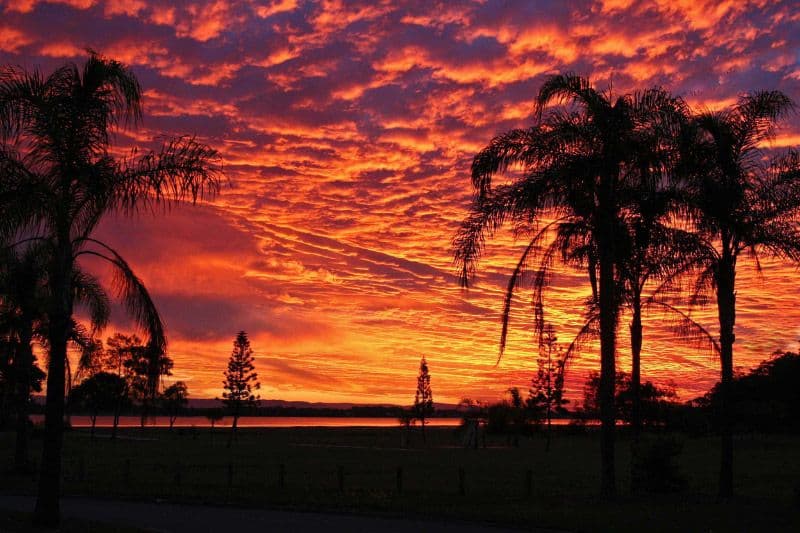 87 Solander Esplanade, Banksia Beach QLD 4507, Banksia Beach - Thumbnail 7