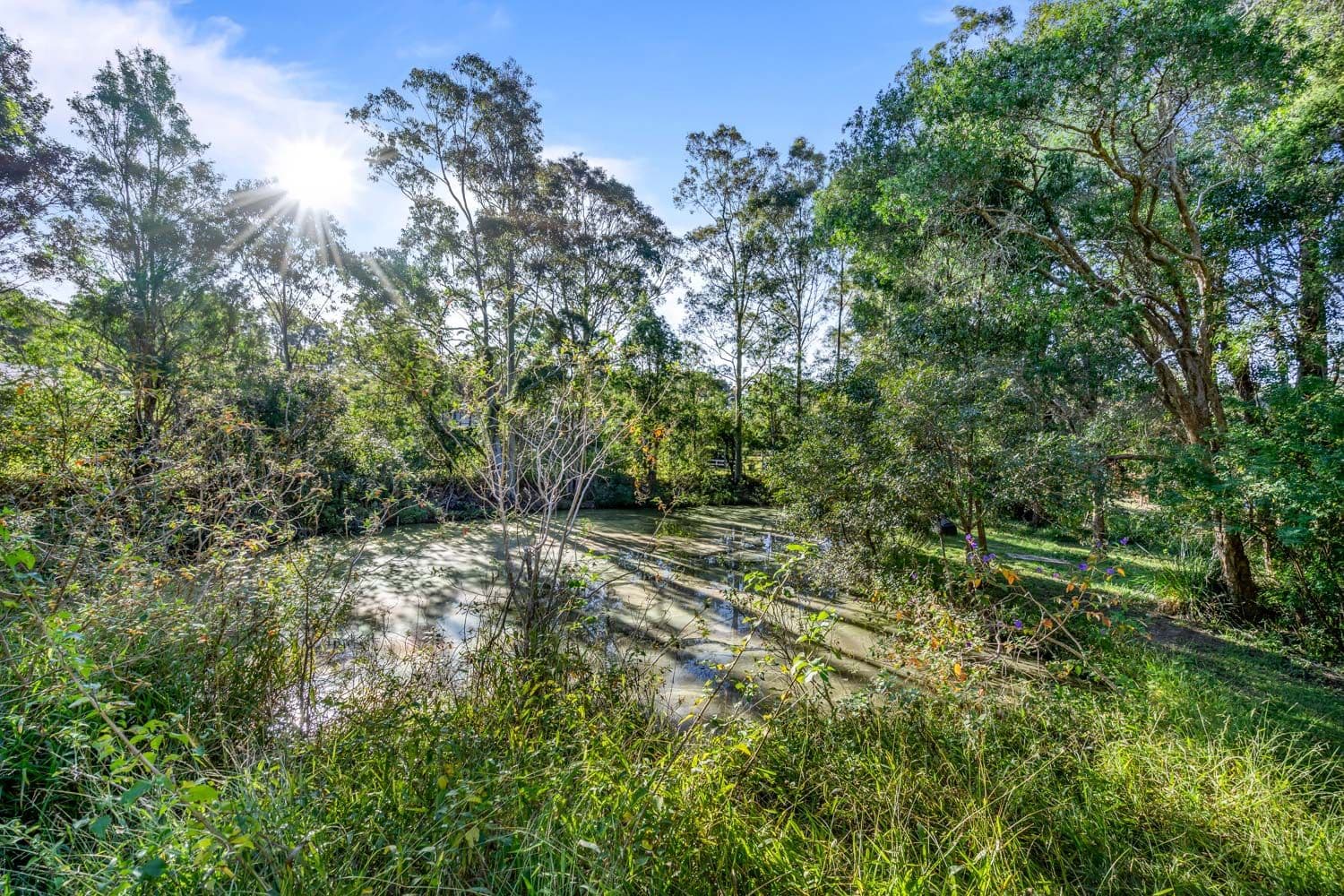 9 Leetes Lane, Tumbi Umbi NSW 2261, Tumbi Umbi - Thumbnail 6
