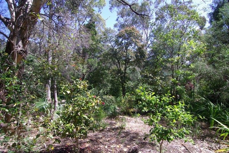 37 Melton Street, Blackwood SA 5051, Blackwood - Thumbnail 7