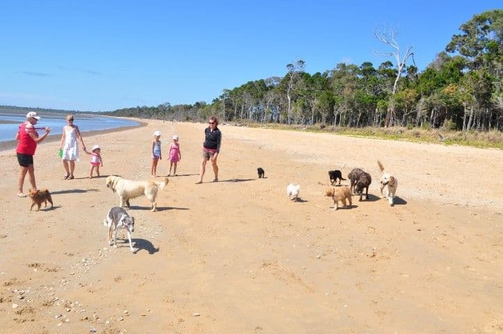 31 Seahorse Circuit, DUNDOWRAN BEACH QLD 4655, Dundowran Beach - Thumbnail 3
