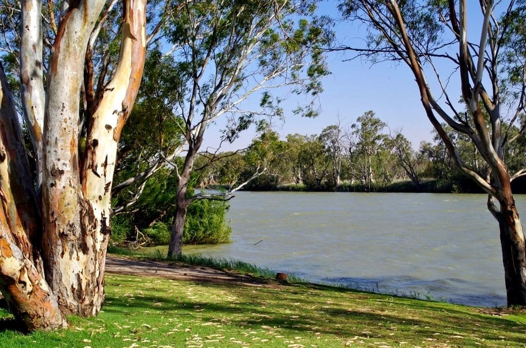 115 Riverview Drive, Berri SA 5343, Berri - Thumbnail 3