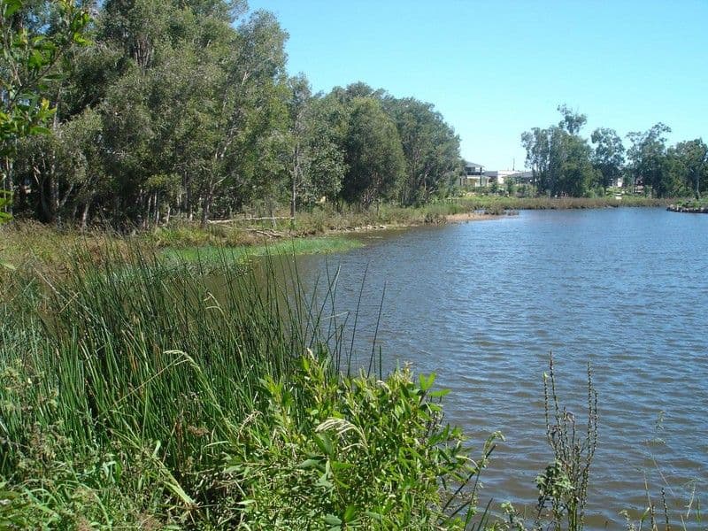 18 Hillcrest Court, Murrumba Downs QLD 4503, Murrumba Downs - Thumbnail 5