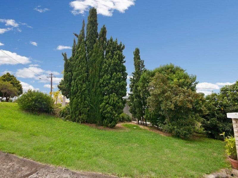 50 Hocking Avenue, EARLWOOD NSW 2206, Earlwood - Thumbnail 2
