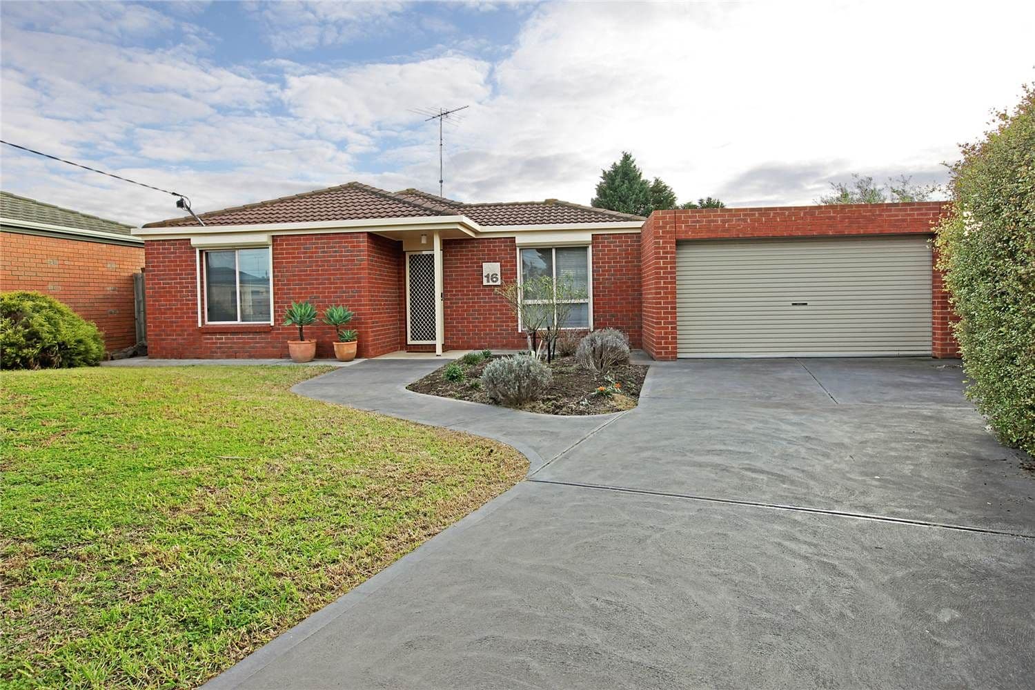 16 Freesia Court, WHITTINGTON VIC 3219, Whittington - Image 1
